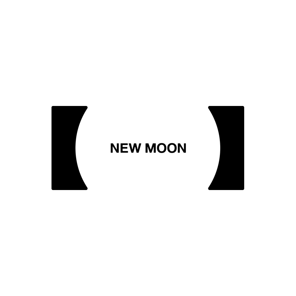 The PR Net 100 2026 New Moon